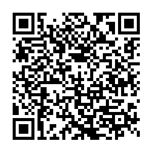 可还是敢让一个筑基期的修士带这么多个孩子从这里路过的原因了二维码生成