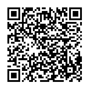 同时反弹回来的金色巨盾也忽然在一阵阵剧烈的颤鸣声中变化起来二维码生成