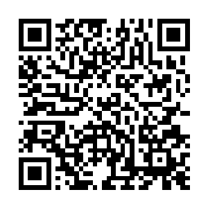 同时发出冷漠而理性的声音但声音中的理性却在慢慢消退二维码生成