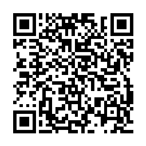 同时另外那个如同攻城锤一般的巨臂也狠狠砸在了洛基的头上二维码生成