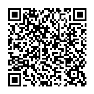 同时继续推进自己构建一个公正有序的法治环境来提升昌江的竞争力二维码生成