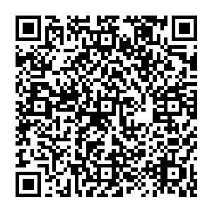 同样陆为民也很忠实的贯彻了市委也就是张天豪提出的重点打造阜头和大垣这两个经济增长点的意图二维码生成