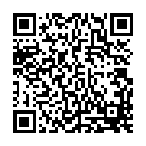 向他们介绍人类文明的发展全过程都是虚灵界中存储的各种信息二维码生成