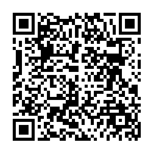 君少也经常说自己单蠢……梁萌萌喜欢她们也经常说……难道自己真的蠢蠢的二维码生成