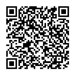 吞噬上古凤族第二十六任族长萧道极留在极道石碑之中的火焰法则碎片所凝成的二维码生成