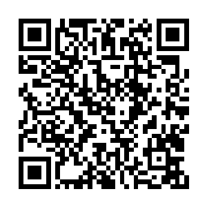 否决了水奴可能成为司园另一个主人的这种可能二维码生成