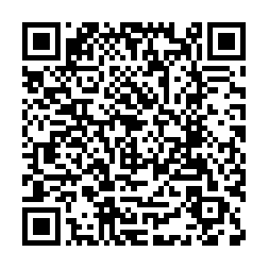 听罗博士把自己家里说得那么可怜江少游也懒得理会他说的是真是假二维码生成