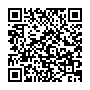 哈哈哈――――――你不要――――挠――挠我痒―――痒痒二维码生成