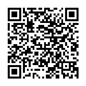 哪怕我们拥有坚固的城墙也无法弥补这如深渊般的差距二维码生成