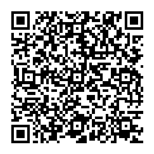 器　　　器　　　器　　　　　器　　　　　　　器器器器器器器器器　　器器器器器器器器器器器器器二维码生成