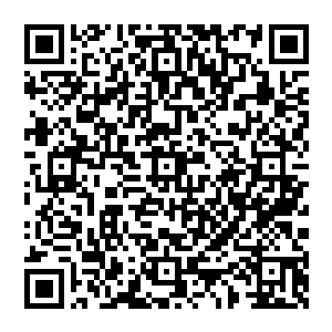 器　器器　　　　　　　器器器器器器器　　　器　　　　器　　　　器　　　　　　　　　　　器二维码生成