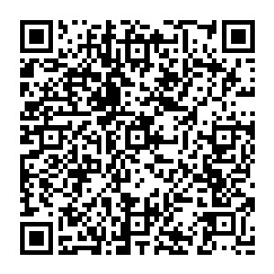 器　器器　　　　　器　器　　　器　　　器　　器　　　　器　　　　器　　　器器　　　　　器二维码生成