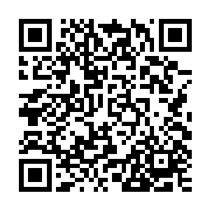 回答托雷斯的是一个胖乎乎的身影非常突兀的出现在了他的面前二维码生成