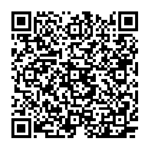 因为他们怎么也想不到七公子会因为一个小小的人类而将这么多手下以及他们的族人都杀了二维码生成