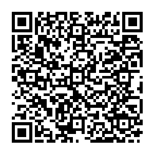 因为他发现就在自己的脚下以及不远处在那些天材地宝的周围还有一些坑坑洼洼的地方二维码生成