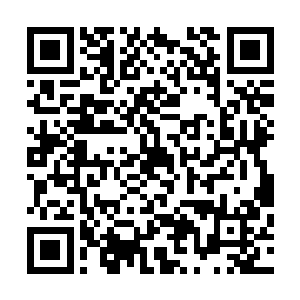 因为他已经看到叶莲娜的手中已经拿着刀叉在盘子里取食了二维码生成