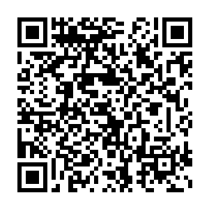 因为他知道凭借着龙傲天还有小金的身份想要离开这里这是早晚的二维码生成