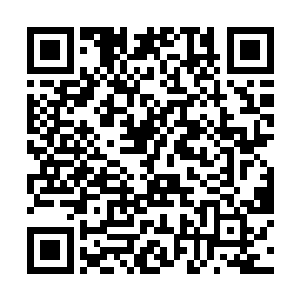 因为你的心里知道将来能够帮你报仇的只有我的儿子二维码生成