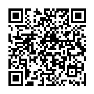 因为圆形炮弹没法保证装有触碰引信的那面刚好落在地上二维码生成