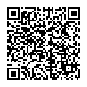 因为她从京城出来之前可是到盛王府以及那一众八皇子党派人家打劫了一大圈的二维码生成