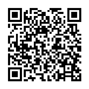 因为就连他都知道秋实大人可能真的会做出这样的事情二维码生成