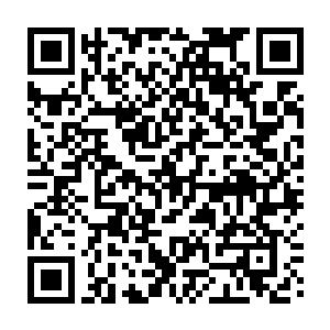 因为此时这八十一个傀儡竟然组成了一个阵法将龙傲天跟小金围在了中间二维码生成