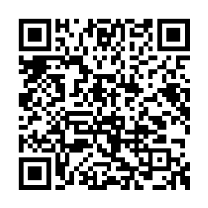 因为秦方有足够的时间与体内的元气进行磨合的二维码生成