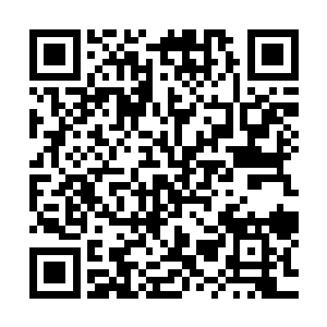因为fbi可以随时没有任何理由的过来拿走他们想要的任何东西二维码生成