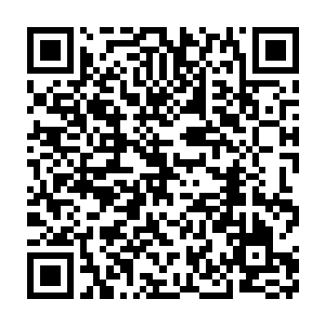 因此面对杨达乃至在场所有家族合体大能修士们面前的只有一条路二维码生成