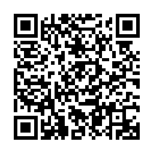 圣光之城的许多民众以及骑士团成员都开始声讨要和帝都开战二维码生成