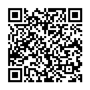 圣甲虫基因所带来的元素防御力量也就不再像之前那样重要了二维码生成