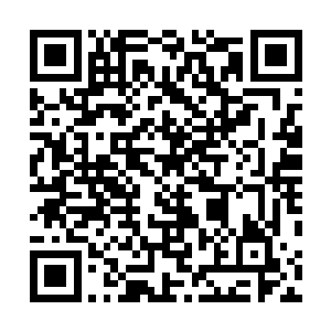 在四周的海面上此刻都已经出现了越楠海军的军舰的影子二维码生成