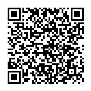 在她们被运到这里的时候曾经过紫薇群岛的人普及一些修真者的常识二维码生成