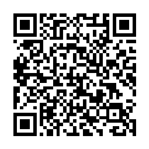 在张潇晗将温养的灵力撤除的时候顷刻就枯萎化作轻灰二维码生成