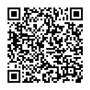 在房间里的旁边还有着一个同样是完全由绿竹做成的楼梯通向二楼二维码生成