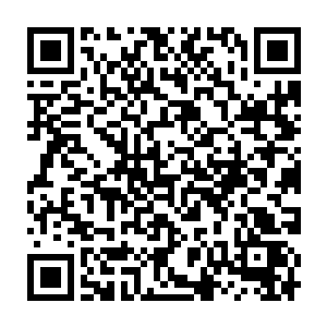 在那里学艺后又被送来转世到现在这个世界的故事原原本本的说了一遍二维码生成