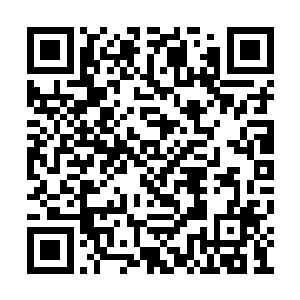 地面上只有我瘦小的身影夹杂着几根飘动的柳条二维码生成