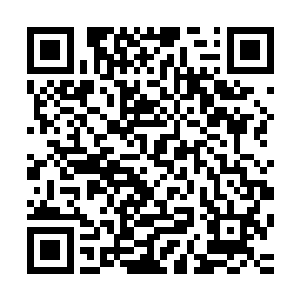 场中围观的领主和高层们可以听到我们的声音看到我们的动作二维码生成