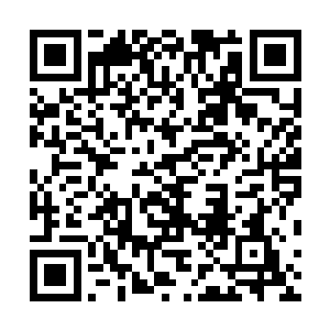 城墙上拥有远程攻击能力的异能者们几乎已经倾尽了全力二维码生成