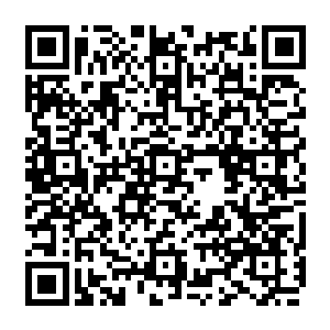 基本上腹地内的关键设施都是由受大唐世子隐秘机房内中控电脑控制的机器人承建二维码生成