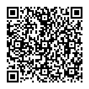 基本上除了从玄天大陆上进入到天域中的巨龙之外远古龙族中基本上没有神仆期的存在二维码生成