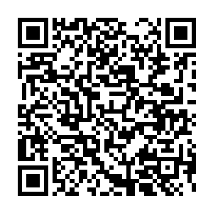 墨子然和鸥云四人也越过了两界交界处重新回到了海神殿的领地内二维码生成