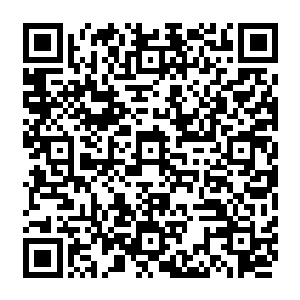 天焰千界剑这等下品中等圣域绝学加上极光苍焱再加上一成的元神之力和一成的圣元二维码生成