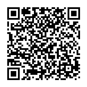 天知道这个雪燕大数据服务公司是从什么时候就开始收集这些信息的二维码生成