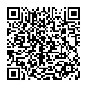 夭华将特意带回来的那本记录着这些日子来的具体战役情况的厚册递给乌云二维码生成