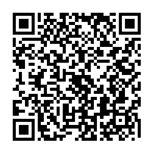 奈何元纹真解上的攻防元纹最强大的也不过堪比三重异象宗师的全力攻击二维码生成