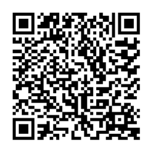 奥利维亚的不同寻常就在这个时候给了这帮堪塔斯基因专家一个天大的惊喜二维码生成