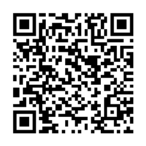奥尔森――80――60―――100―――a+―――a+―――苏茜二维码生成
