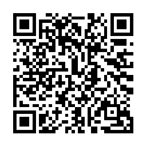 如果你仅仅只是想要借助金属性天材地宝完成金刚诀的入门二维码生成