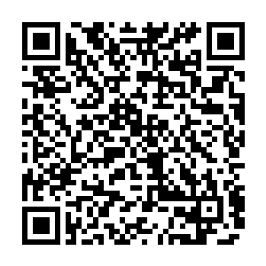 如果说在一两年后中药材种植基地和专业市场都已经建成并展示出成效时二维码生成